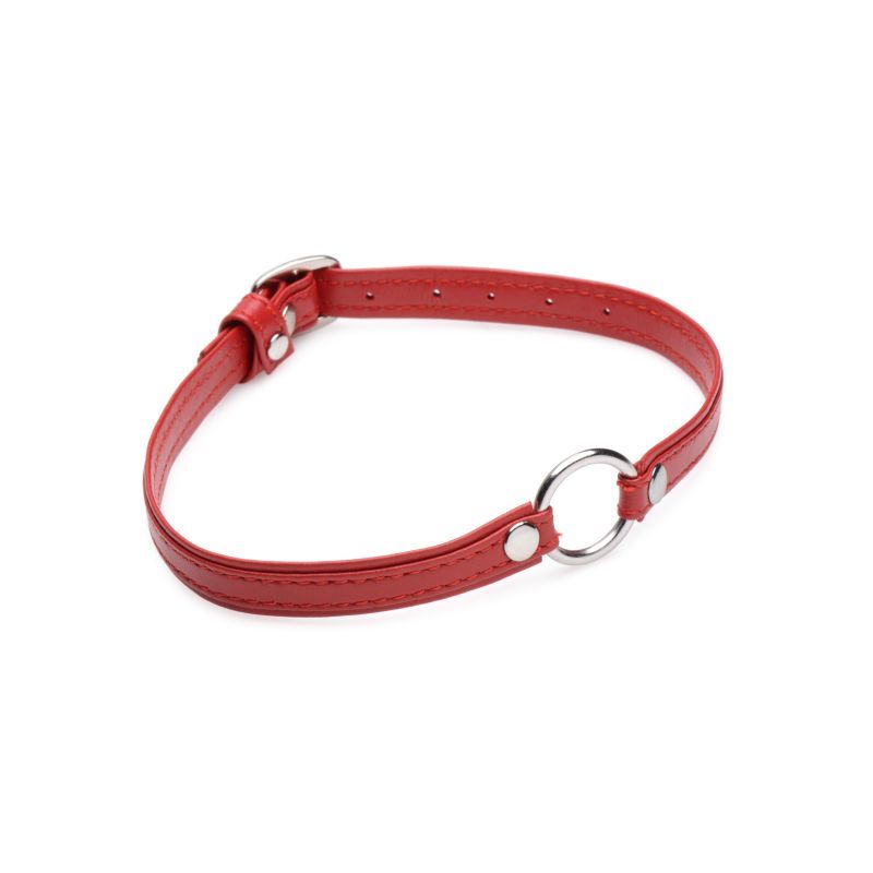 Master Series Fiery Pet Leather Choker With Silver Ring Red