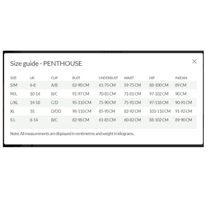 Penthouse Adore Me Panties