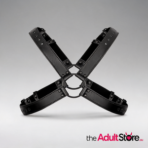 Bedroom Fantasies Lionel Bondage Harness Black
